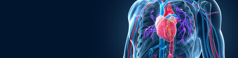 MVH Med Staff CME Library- New Artificial Hearts, Totally Implantable LVADs, and Other Cool Stuff Banner